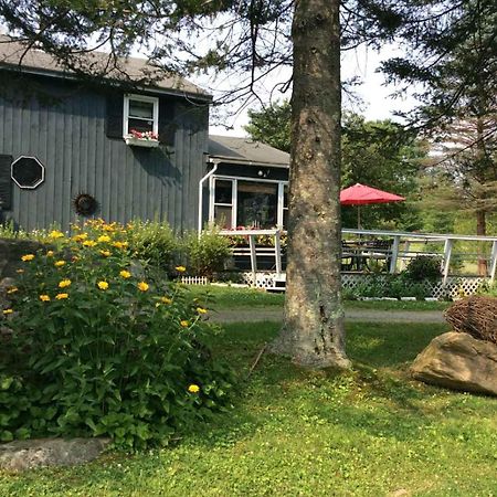 Firefly Bed & Breakfast Lincoln Bagian luar foto