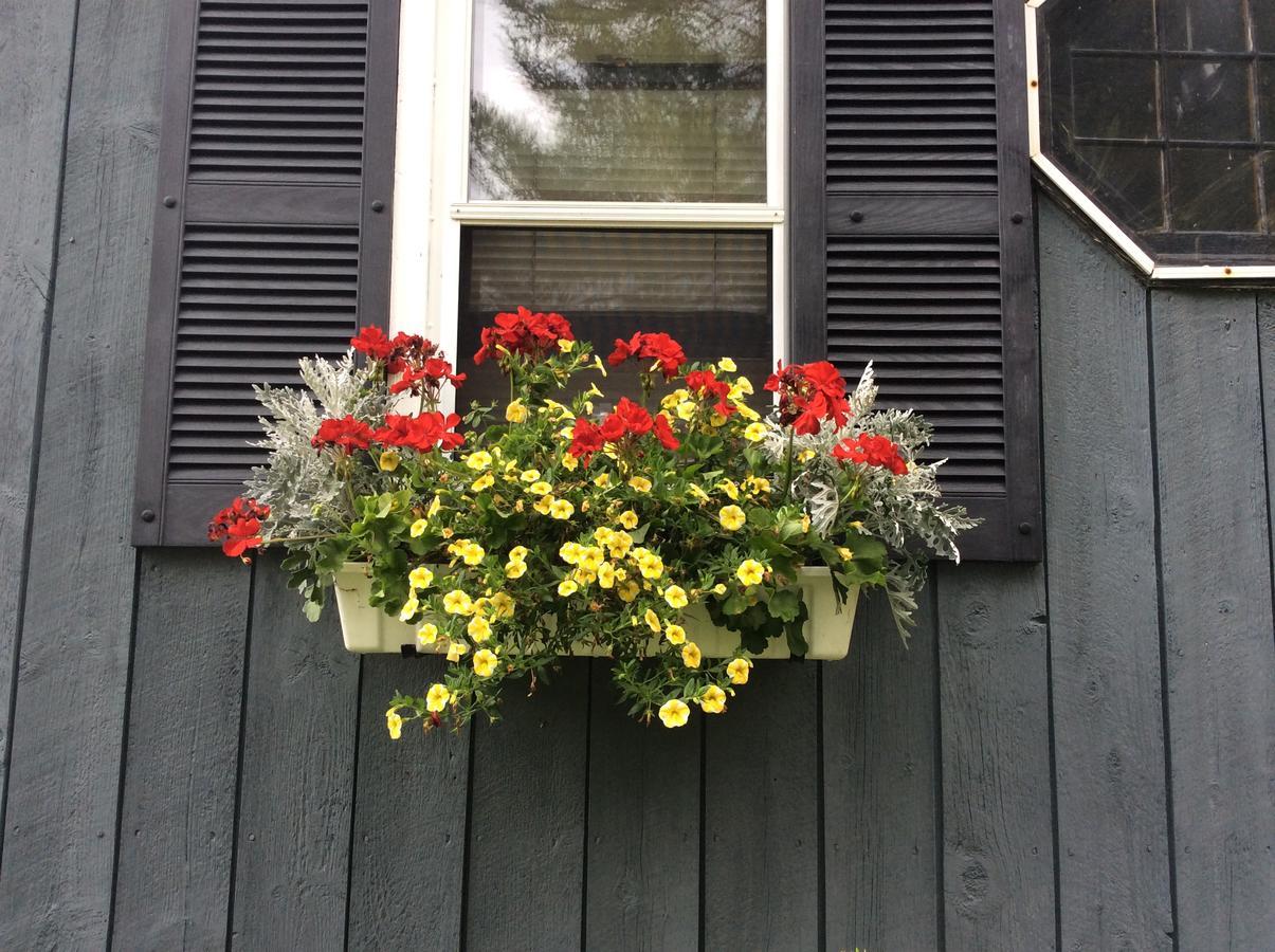 Firefly Bed & Breakfast Lincoln Bagian luar foto