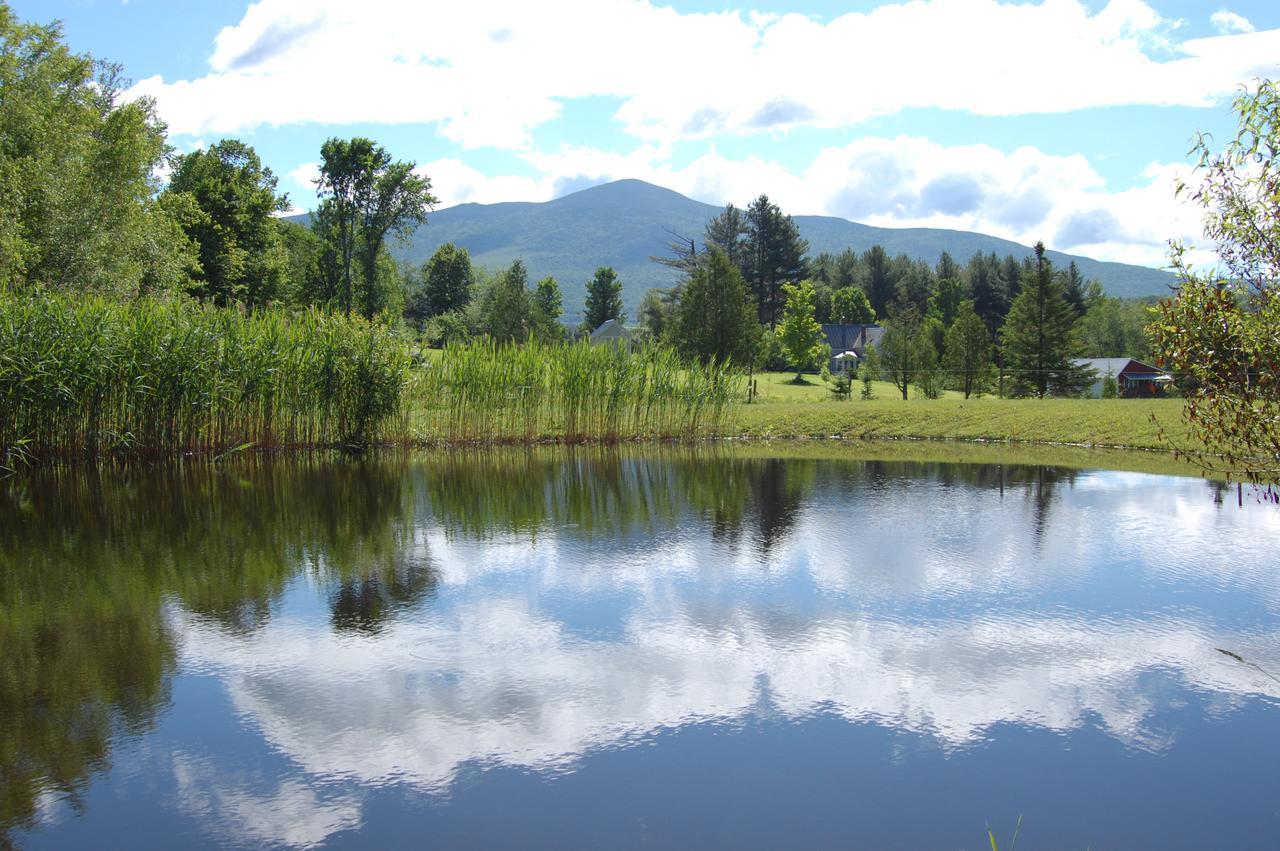 Firefly Bed & Breakfast Lincoln Bagian luar foto