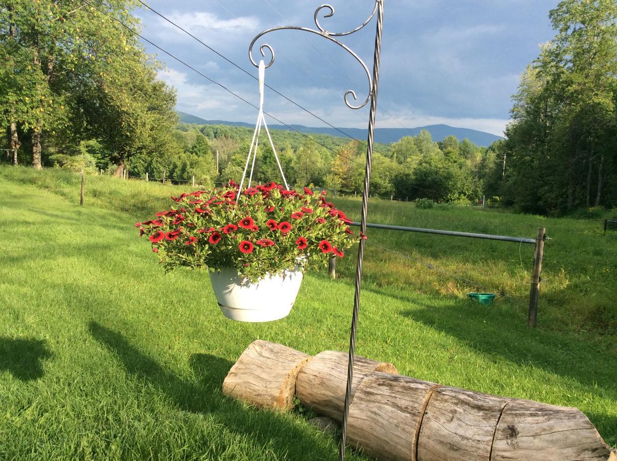 Firefly Bed & Breakfast Lincoln Bagian luar foto