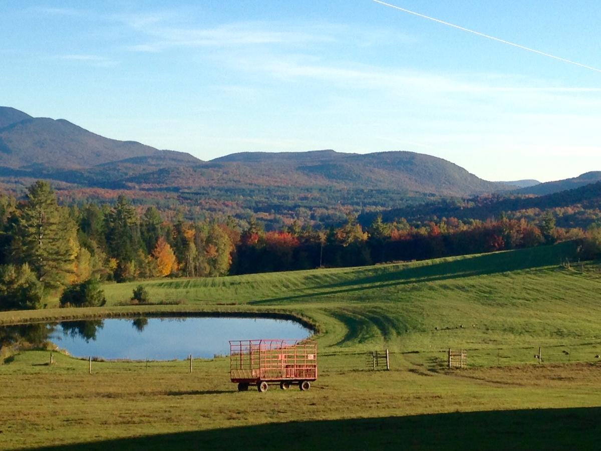 Firefly Bed & Breakfast Lincoln Bagian luar foto
