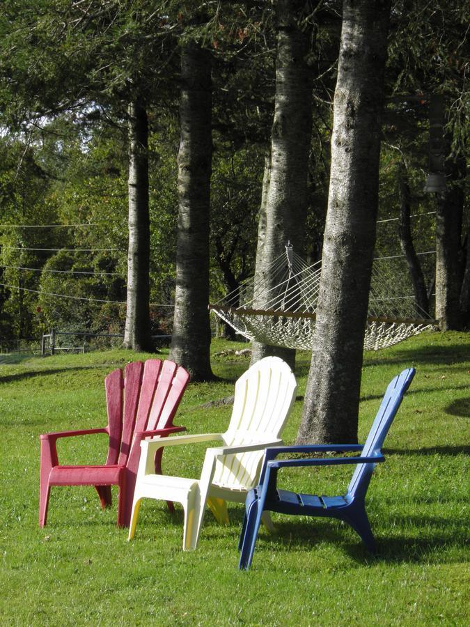 Firefly Bed & Breakfast Lincoln Bagian luar foto