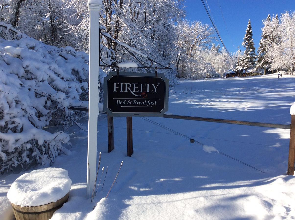 Firefly Bed & Breakfast Lincoln Bagian luar foto