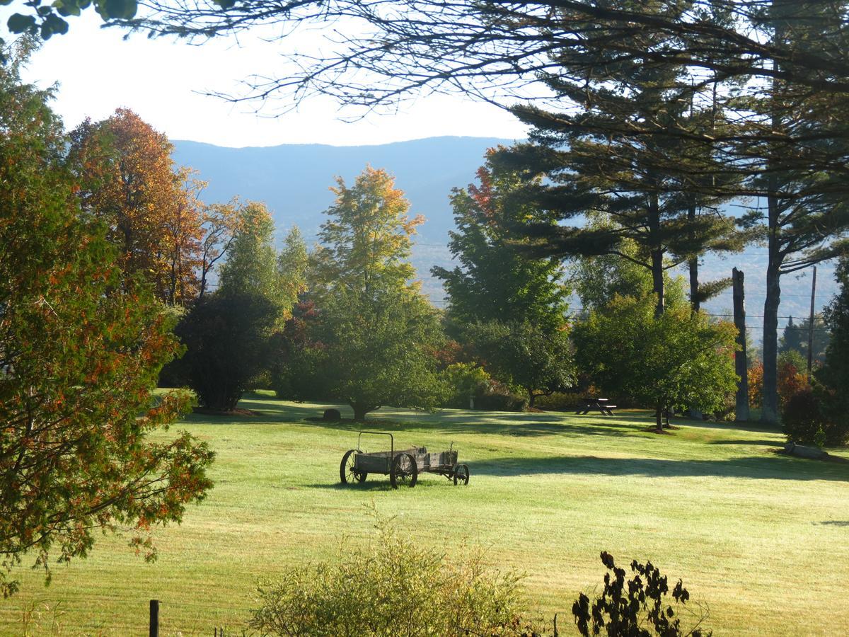 Firefly Bed & Breakfast Lincoln Bagian luar foto
