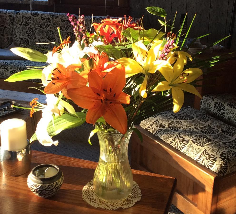 Firefly Bed & Breakfast Lincoln Bagian luar foto