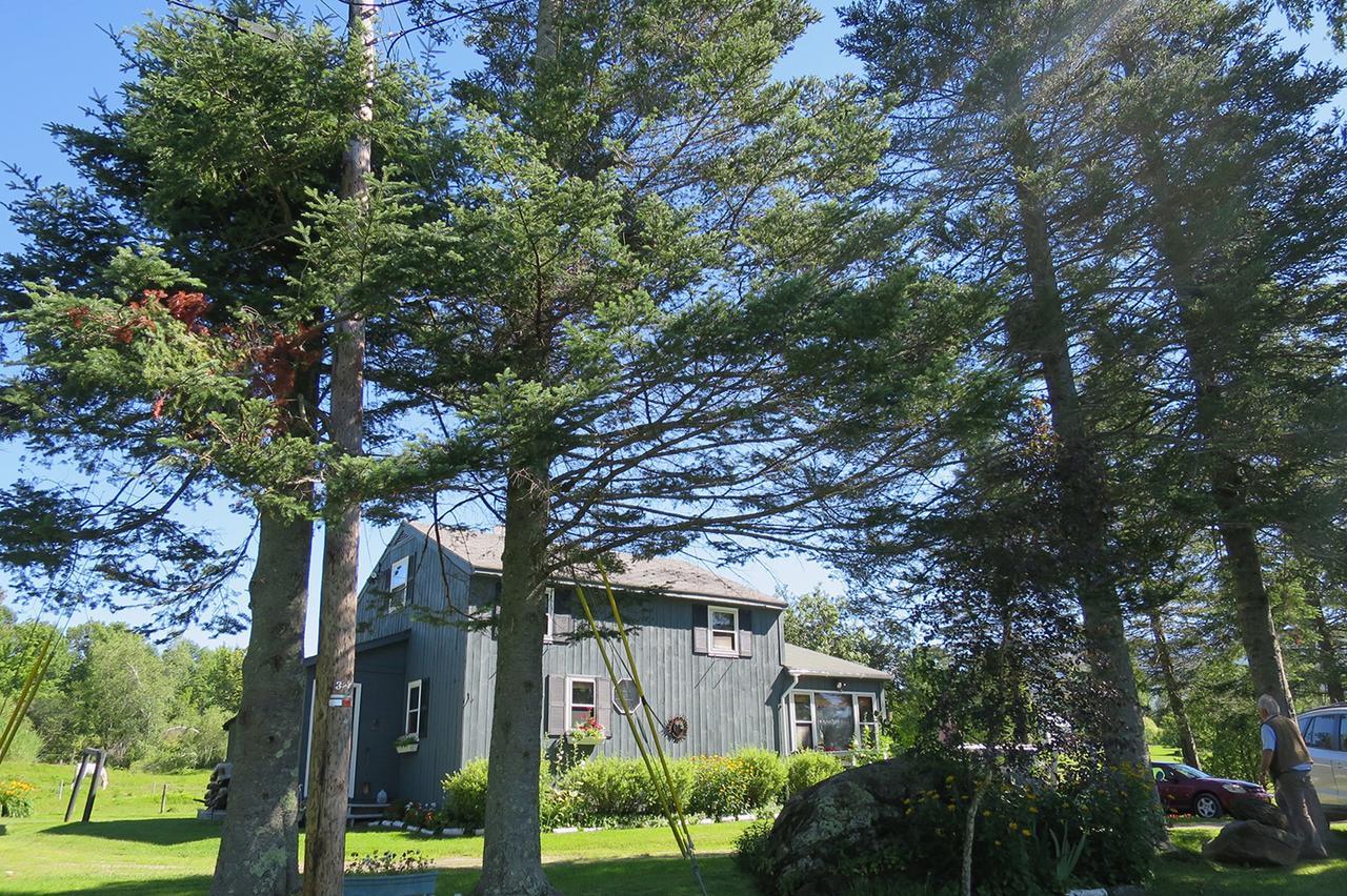 Firefly Bed & Breakfast Lincoln Bagian luar foto