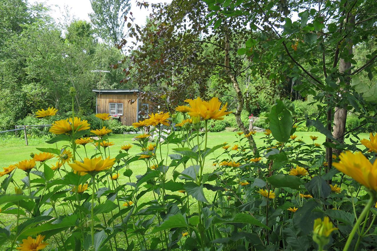 Firefly Bed & Breakfast Lincoln Bagian luar foto