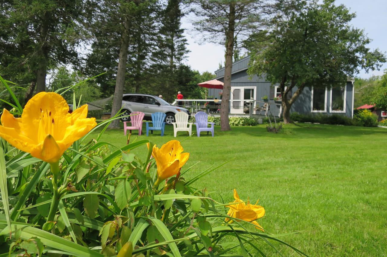 Firefly Bed & Breakfast Lincoln Bagian luar foto