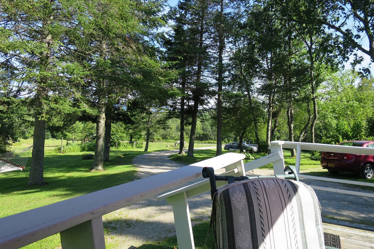 Firefly Bed & Breakfast Lincoln Bagian luar foto